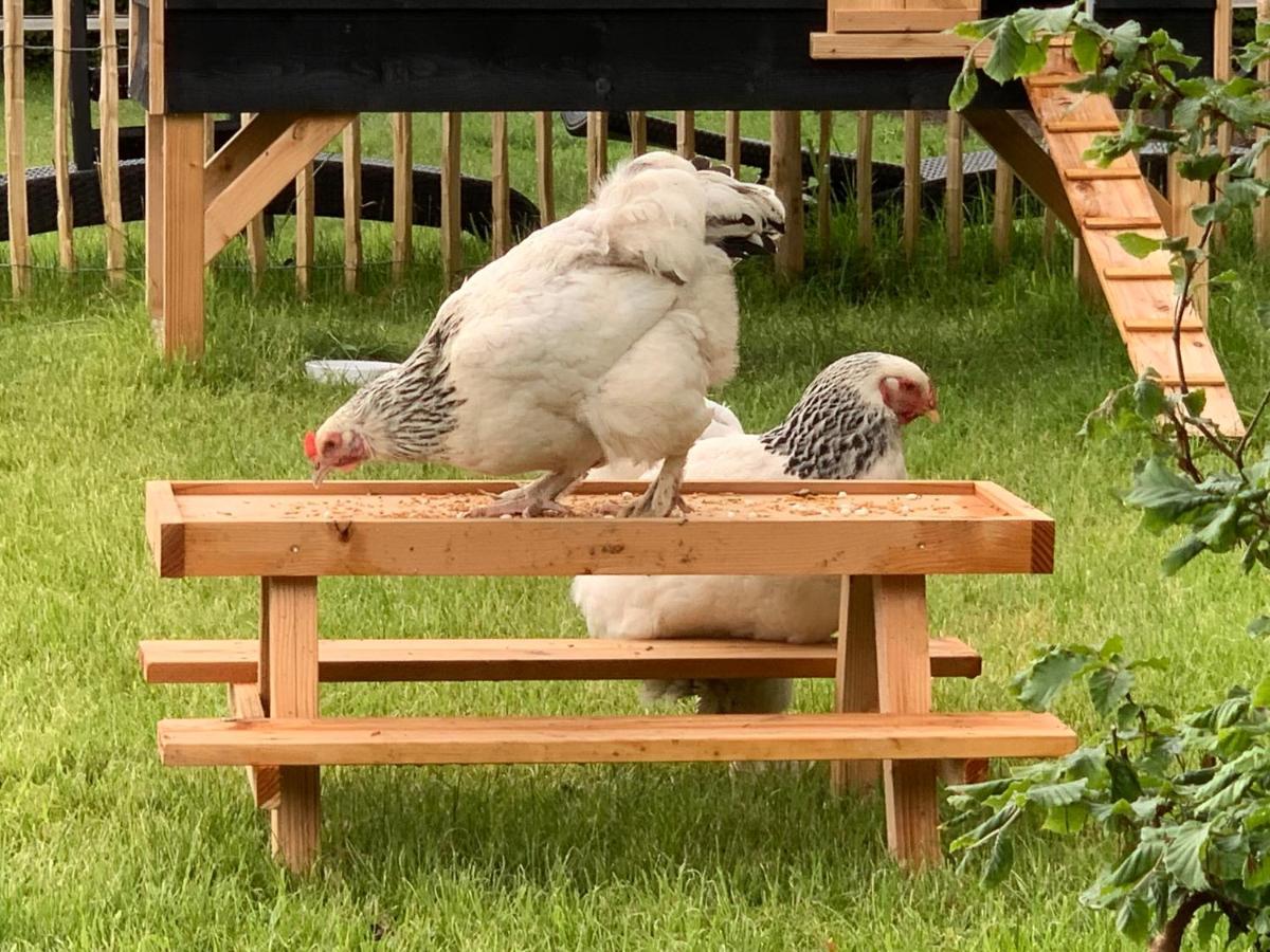 Bed & Breakfast Heitse Heythuysen エクステリア 写真