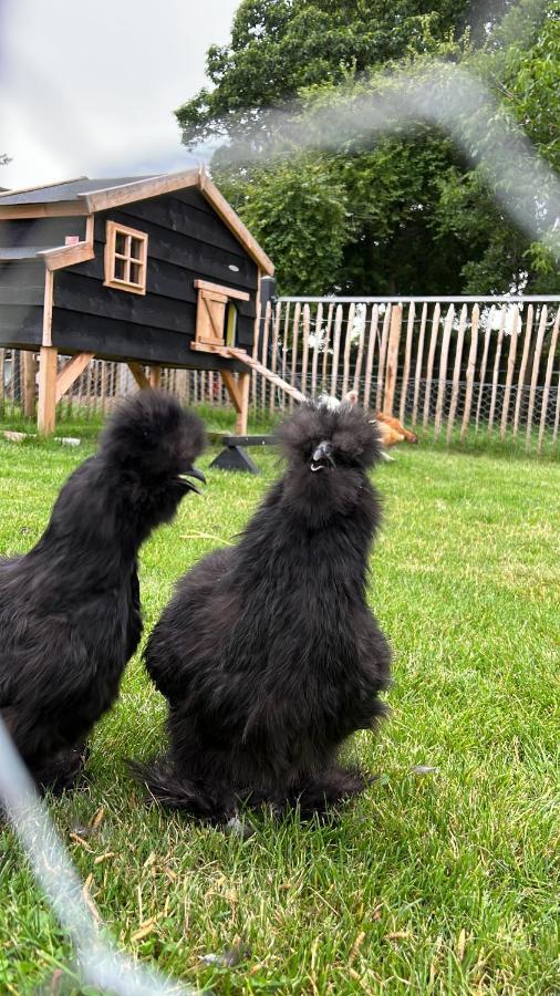 Bed & Breakfast Heitse Heythuysen エクステリア 写真